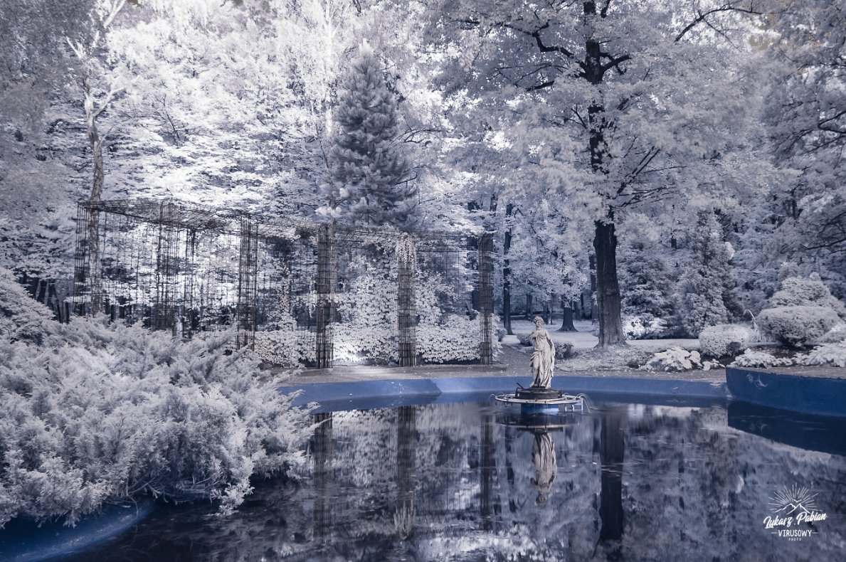 Infrared in the park